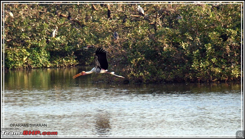 The Vedanthangal Trip-1-25.jpg