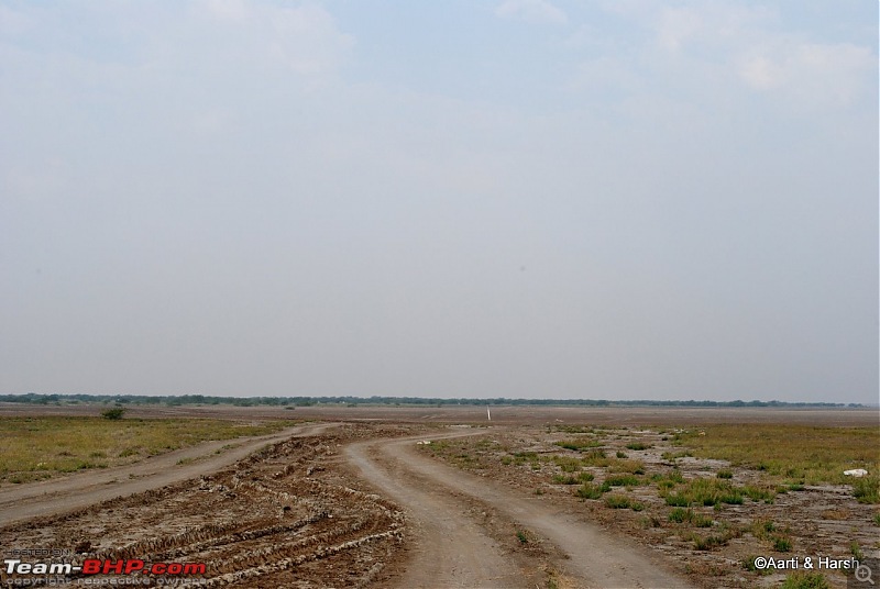 Raiders of the Rann: A Kachchhi Kaleidoscope (Gujarat)-dsc_1310.jpg