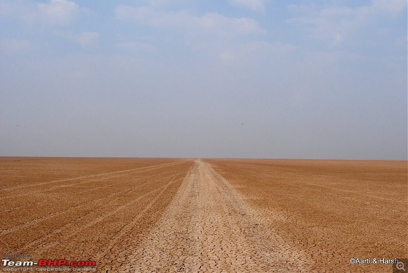 Raiders of the Rann: A Kachchhi Kaleidoscope (Gujarat)-dsc_1316.jpg