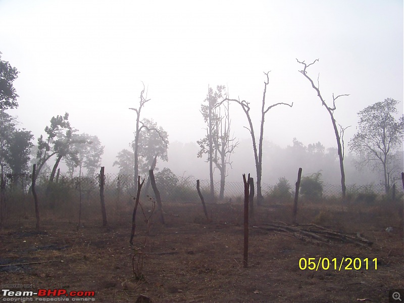 Photolog - Bandhavgarh - Bhedaghat - Birge Dam (Near Jabalpur)-picture-430.jpg