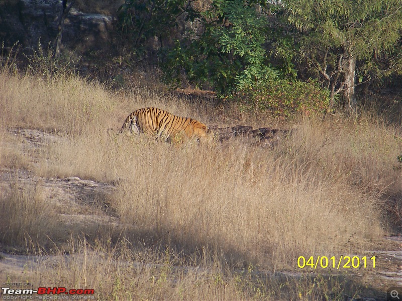 Photolog - Bandhavgarh - Bhedaghat - Birge Dam (Near Jabalpur)-picture-359.jpg