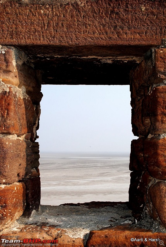 Raiders of the Rann: A Kachchhi Kaleidoscope (Gujarat)-dsc_1489.jpg