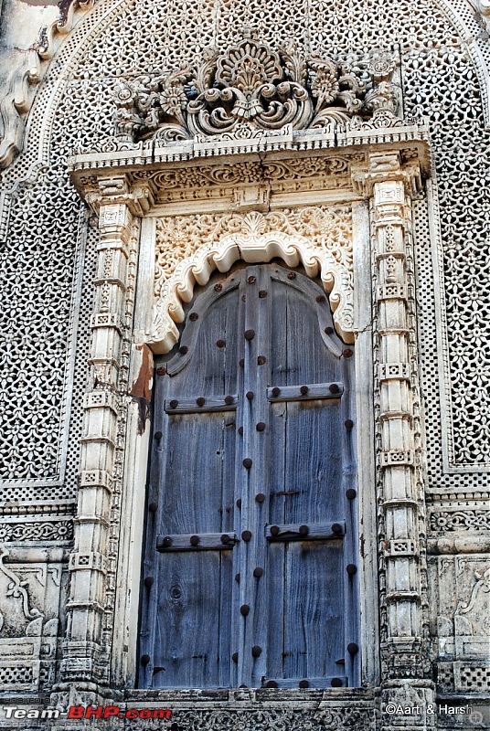 Raiders of the Rann: A Kachchhi Kaleidoscope (Gujarat)-dsc_1539.jpg