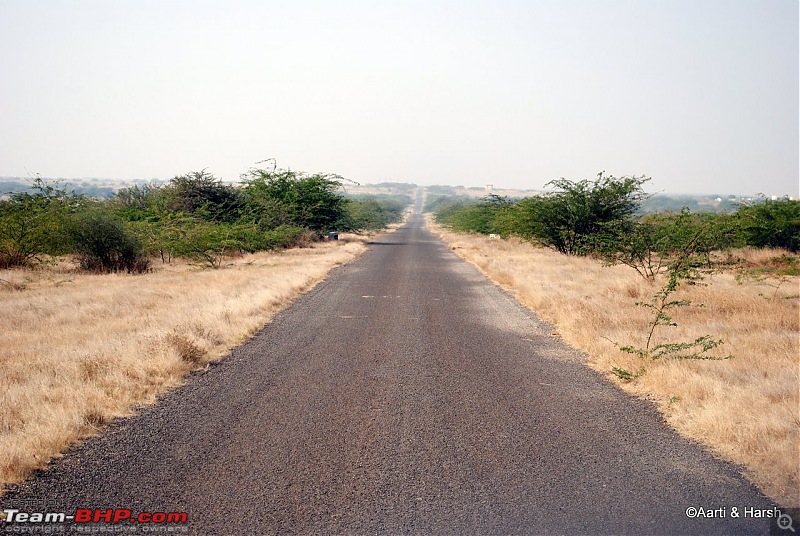 Raiders of the Rann: A Kachchhi Kaleidoscope (Gujarat)-dsc_1552.jpg