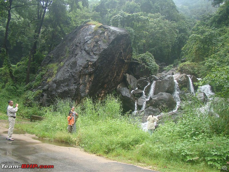 Nelliyampathy - The Roof of Palakkad-6.jpg