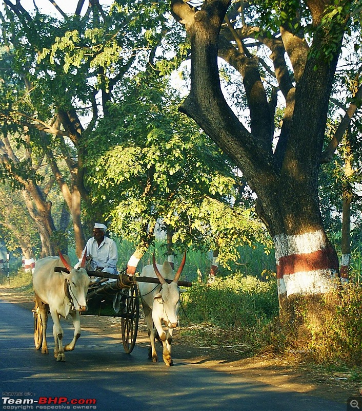 An incredible road trip to the Pearl of the Orient  Goa-7-enroute_to_gagan.bawda.jpg