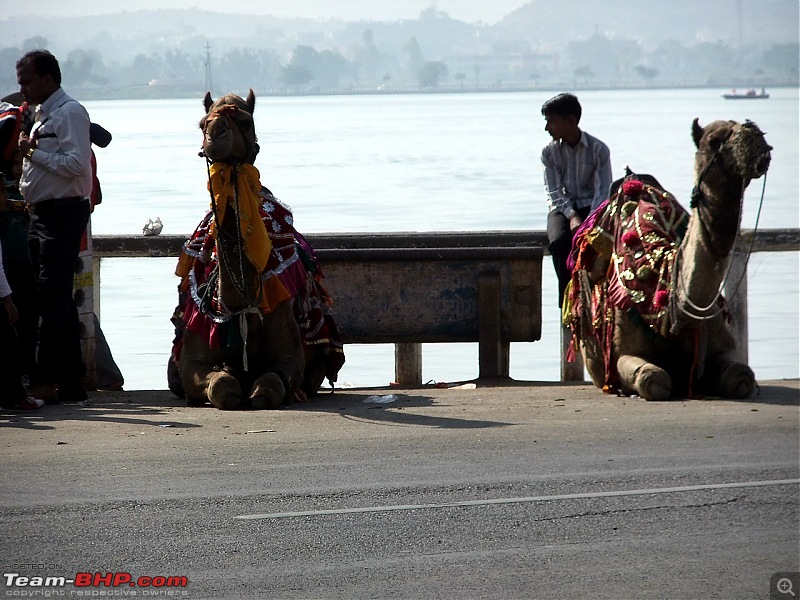 Beyond the Horizon - An unforgettable trip from Bangalore to south Rajasthan-dscf0502.jpg