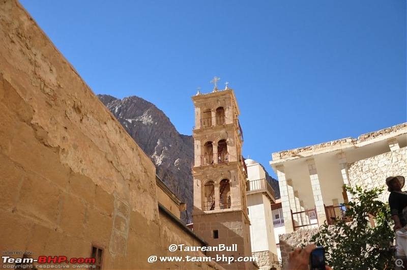 My Egypt Days : Photologue-dsc_3527.jpg
