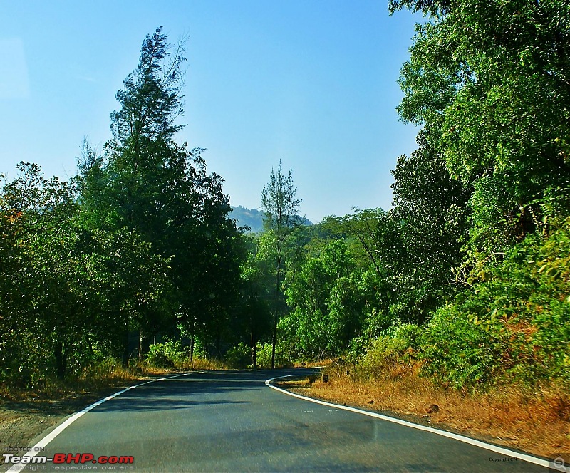 An incredible road trip to the Pearl of the Orient  Goa-6-road-after-gagan-bawda.jpg