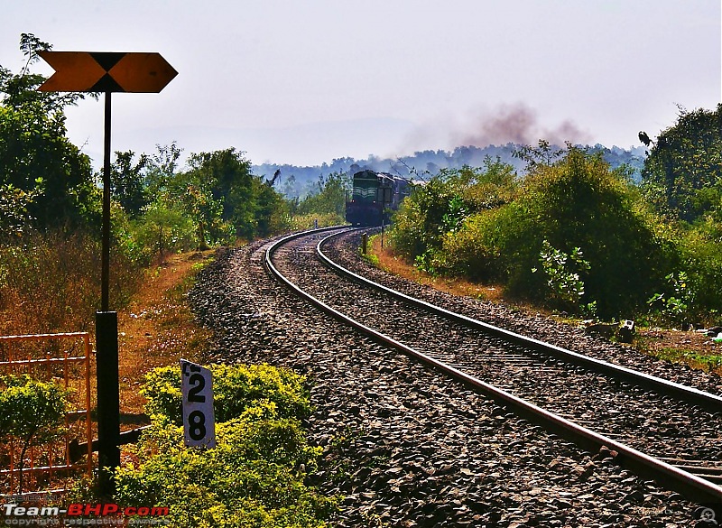 An incredible road trip to the Pearl of the Orient  Goa-4-the_roaring_giant.jpg