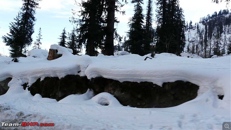 Soujourn in the Snow! (Himachal Pradesh)-p1130152.jpg