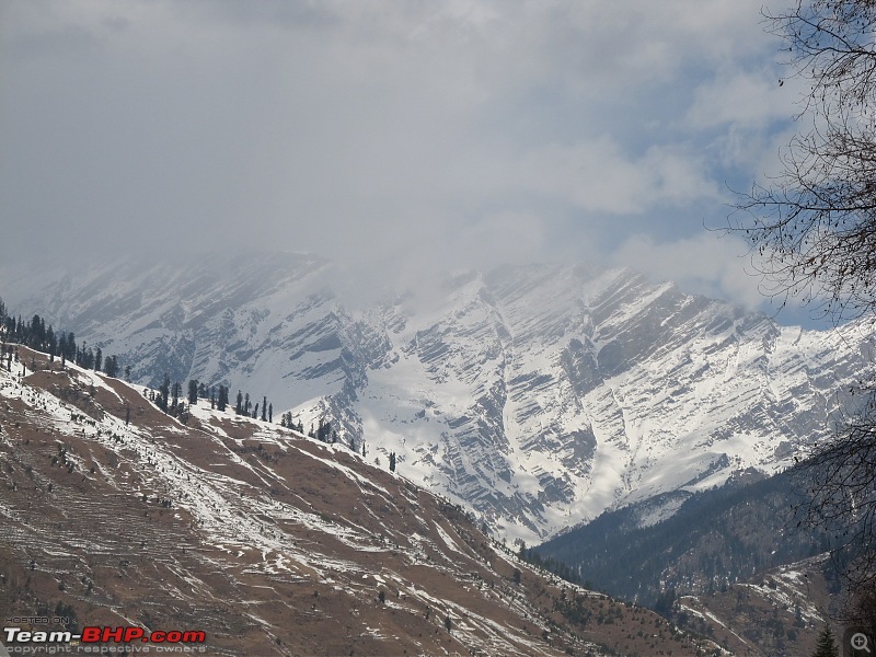 Incredible India A trip to Snow clad moutains and the deserts of India-picture-233.jpg