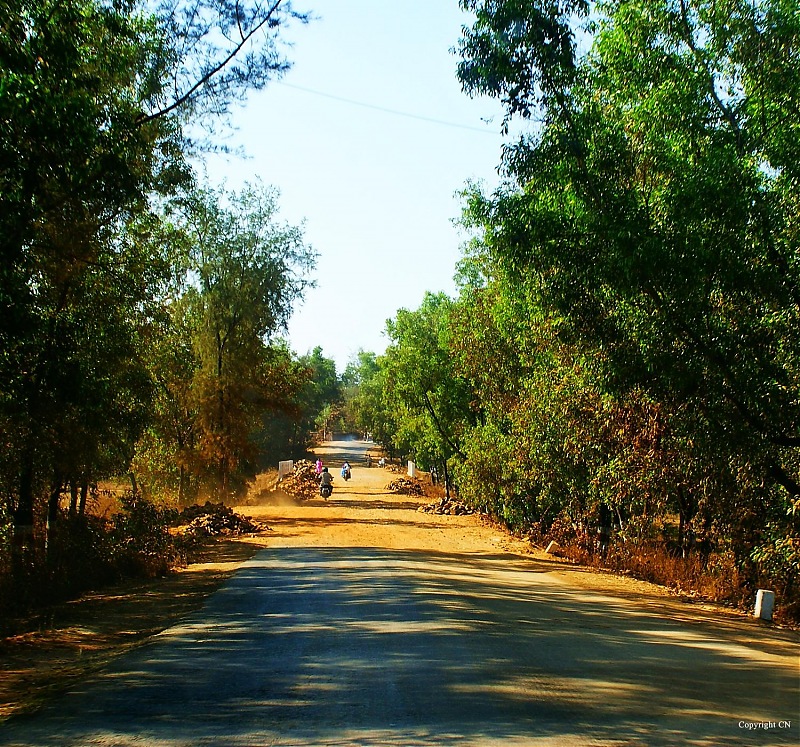 An incredible road trip to the Pearl of the Orient  Goa-4-road-malvan.jpg