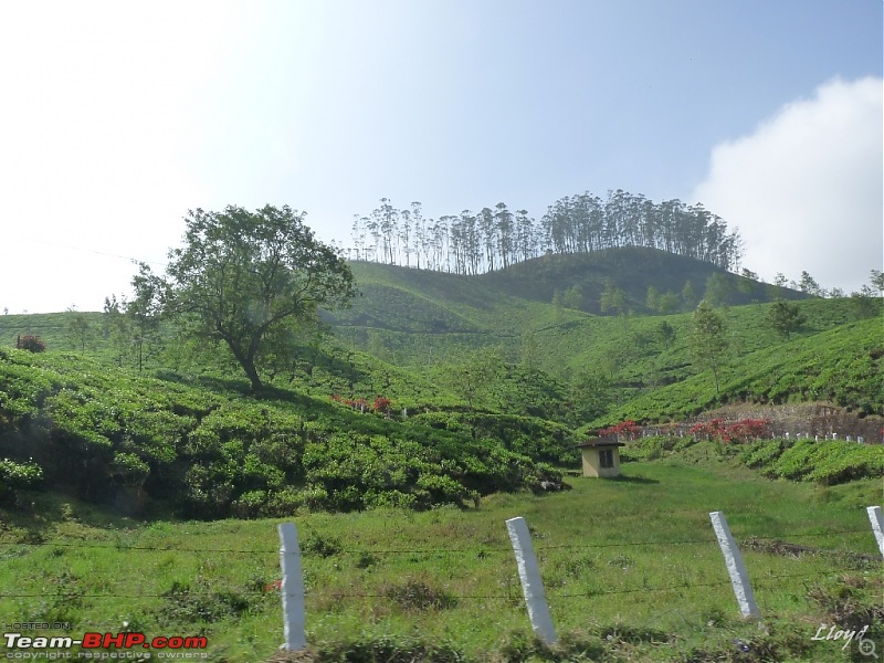 The Land of Three Rivers - Munnar, A Photolog-p1160952.jpg