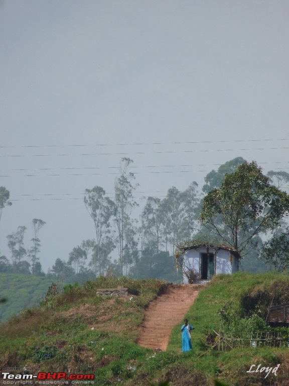 The Land of Three Rivers - Munnar, A Photolog-p1160968.jpg