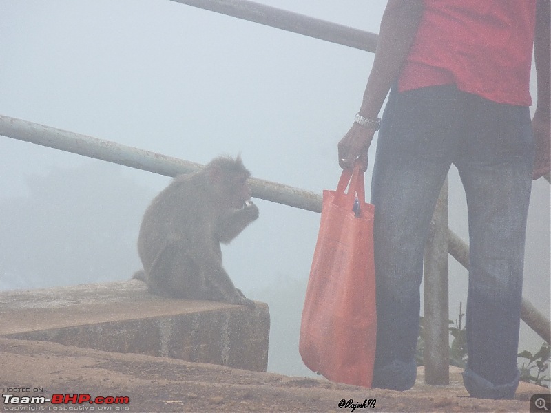 A Trip To Chikmagalur-p1010977.jpg