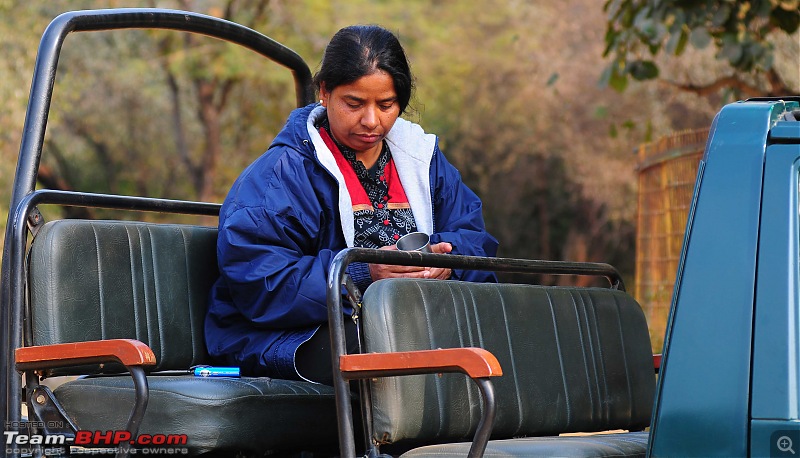 Gurgaon - Sariska - Gurgaon - Phew...Finally sighted one of the Tiger Cubs of ST2-3693.jpg