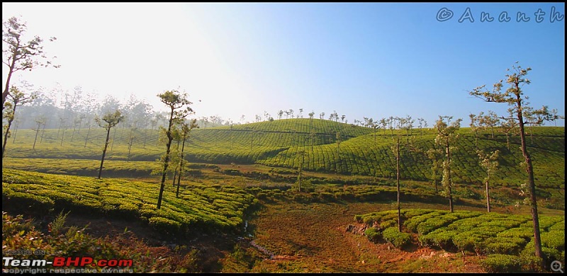 The South Western Drive : Valparai - Nelliampathi - Parambikulam - Kodai-img_0498.jpg