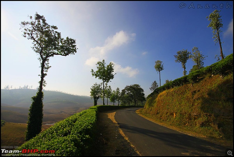 The South Western Drive : Valparai - Nelliampathi - Parambikulam - Kodai-img_0530.jpg