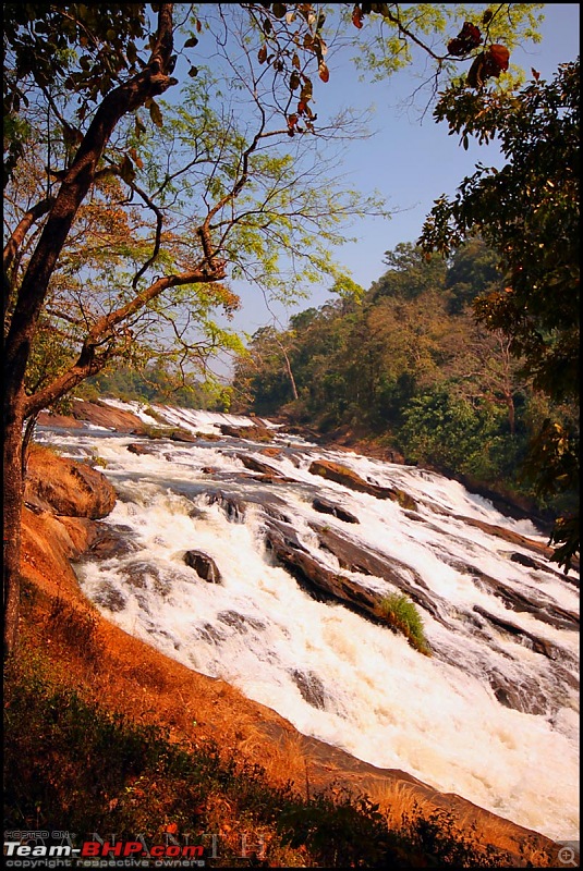 The South Western Drive : Valparai - Nelliampathi - Parambikulam - Kodai-img_0685.jpg