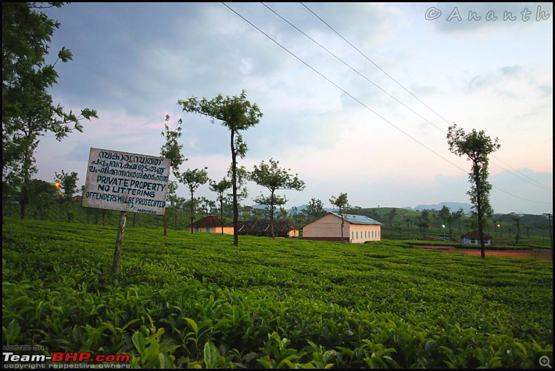 The South Western Drive : Valparai - Nelliampathi - Parambikulam - Kodai-img_0849.jpg