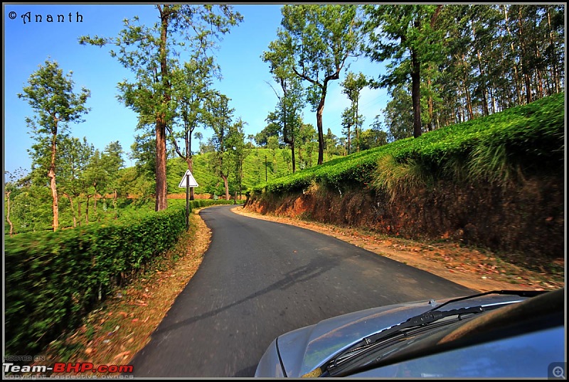 The South Western Drive : Valparai - Nelliampathi - Parambikulam - Kodai-img_0544.jpg