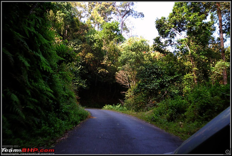 The South Western Drive : Valparai - Nelliampathi - Parambikulam - Kodai-img_0625.jpg