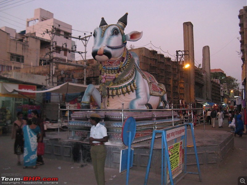 Chennai - Madurai - Alagar Kovil - Munnar - Thanjavur - Chennai-picture-527-fileminimizer.jpg