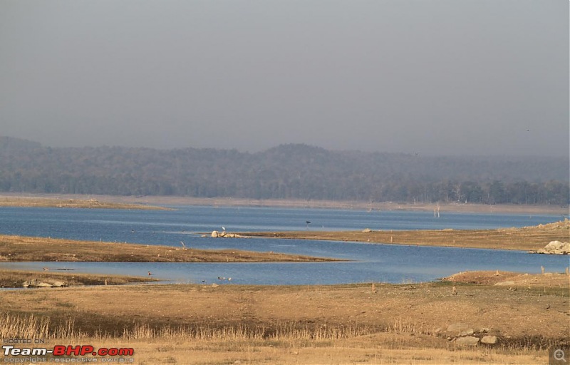 MP Ghazab Hai - Into the heart of Tiger country + Dhuadaar-Bedaghat-5.jpg