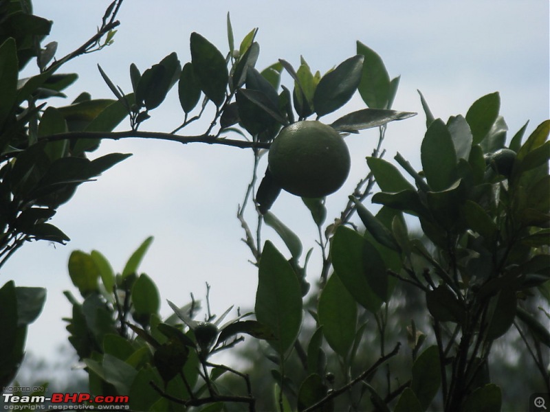 Chennai - Madurai - Alagar Kovil - Munnar - Thanjavur - Chennai-picture-724-fileminimizer.jpg