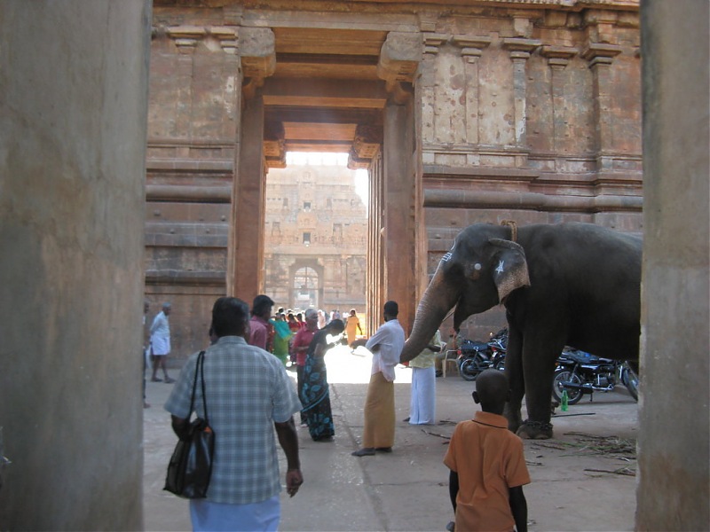 Chennai - Madurai - Alagar Kovil - Munnar - Thanjavur - Chennai-picture-1154-fileminimizer.jpg