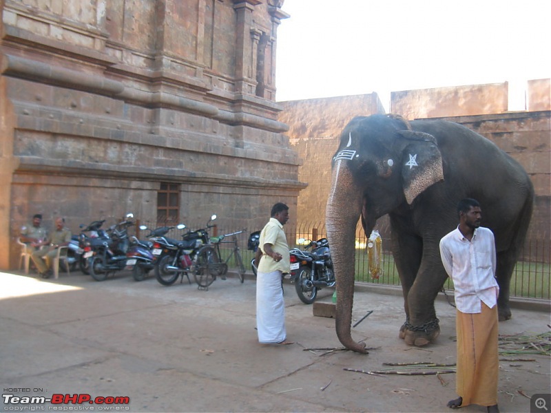 Chennai - Madurai - Alagar Kovil - Munnar - Thanjavur - Chennai-picture-1157-fileminimizer.jpg