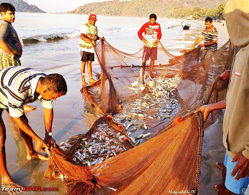 An incredible road trip to the Pearl of the Orient  Goa-14-todays_catch.jpg