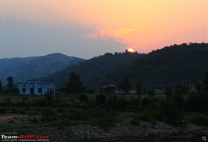 Gurgaon - Ranthambhore - Jodhpur - Gurgaon: Big Cats call again..!-2805.jpg