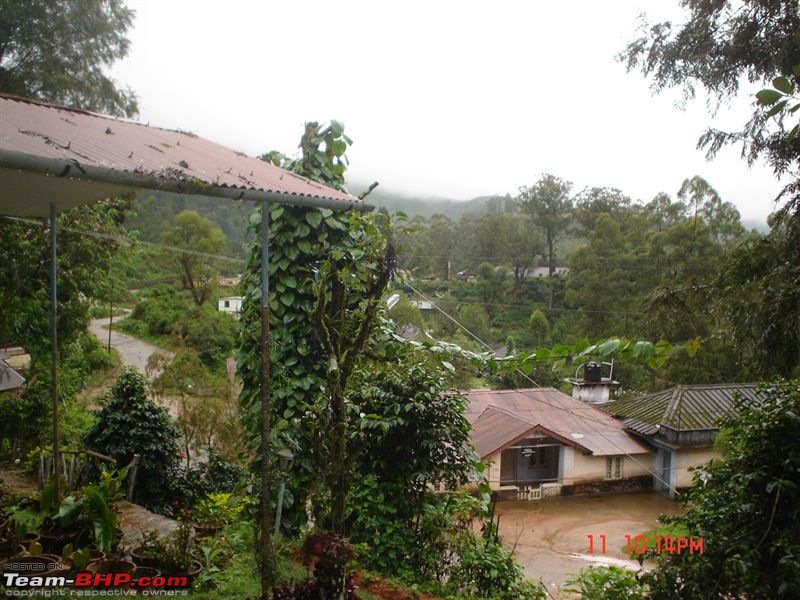 Munnar - In the rains-dsc01568.jpg