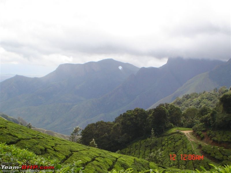 Munnar - In the rains-dsc01628.jpg