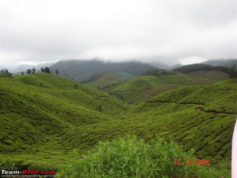 Munnar - In the rains-dsc01634.jpg