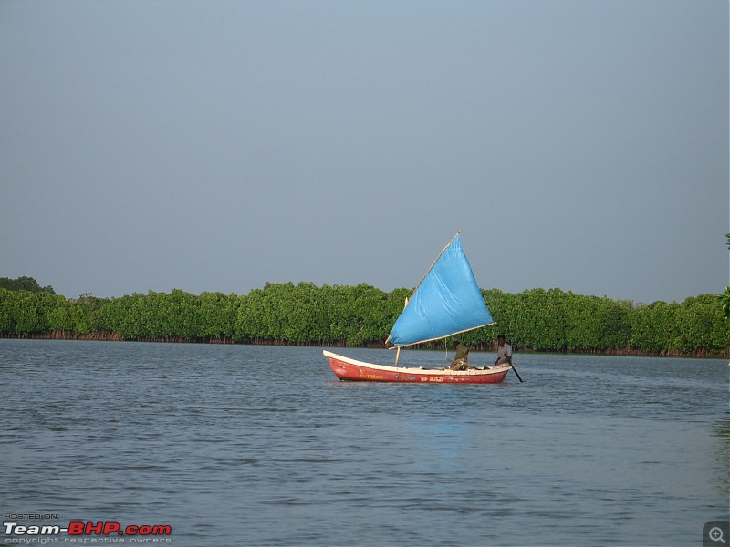 New Year 2011 - Chennai - Pondy - Pichavaram - Pondy - Chennai-ny11-190.jpg