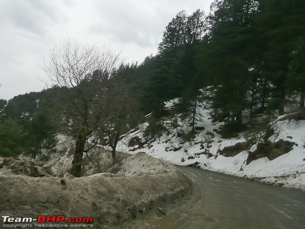 Call Of The Valley - Chasing Snow In Narkanda-p1100846.jpg