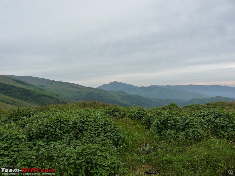 A Trip To Chikmagalur-p1020379.jpg