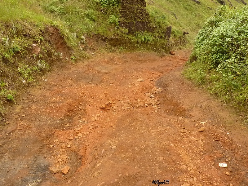 A Trip To Chikmagalur-p1020383.jpg