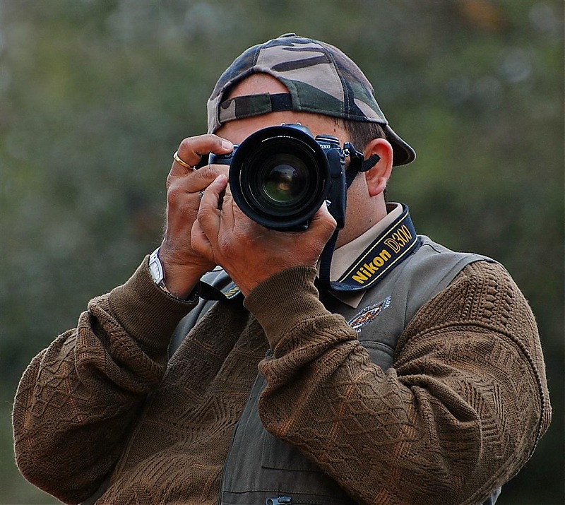 Gurgaon - Sariska - Gurgaon - Phew...Finally sighted one of the Tiger Cubs of ST2-bcg1-large.jpg