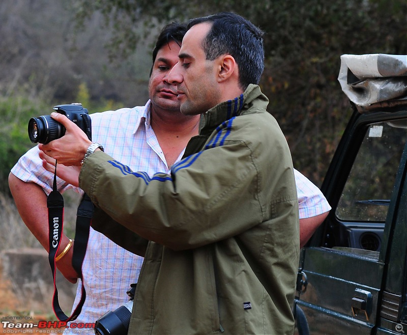 Gurgaon - Sariska - Gurgaon - Phew...Finally sighted one of the Tiger Cubs of ST2-3916.jpg