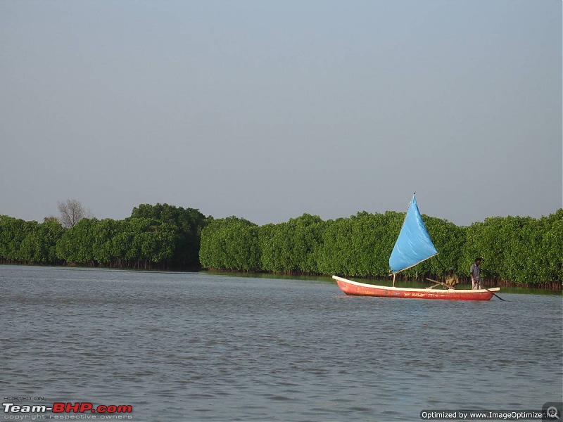 New Year 2011 - Chennai - Pondy - Pichavaram - Pondy - Chennai-ny11-192.jpg