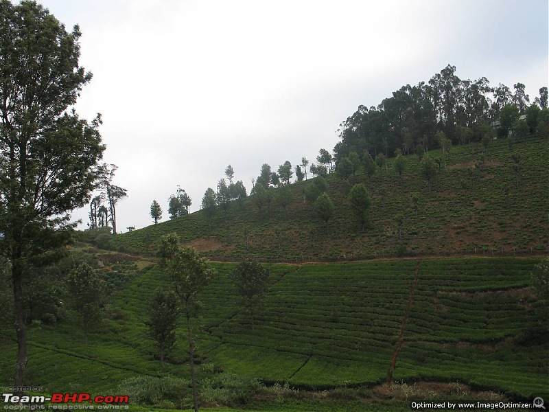 1400 kms, 3 Days, 2 Wandering Souls and 1 Amazing Weekend-ooty-082.jpg