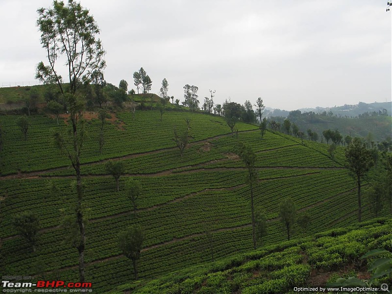 1400 kms, 3 Days, 2 Wandering Souls and 1 Amazing Weekend-ooty-084.jpg