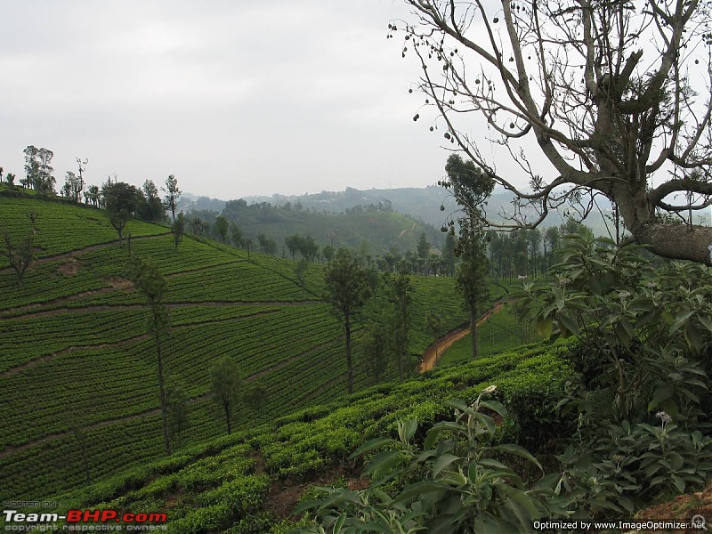 1400 kms, 3 Days, 2 Wandering Souls and 1 Amazing Weekend-ooty-085.jpg