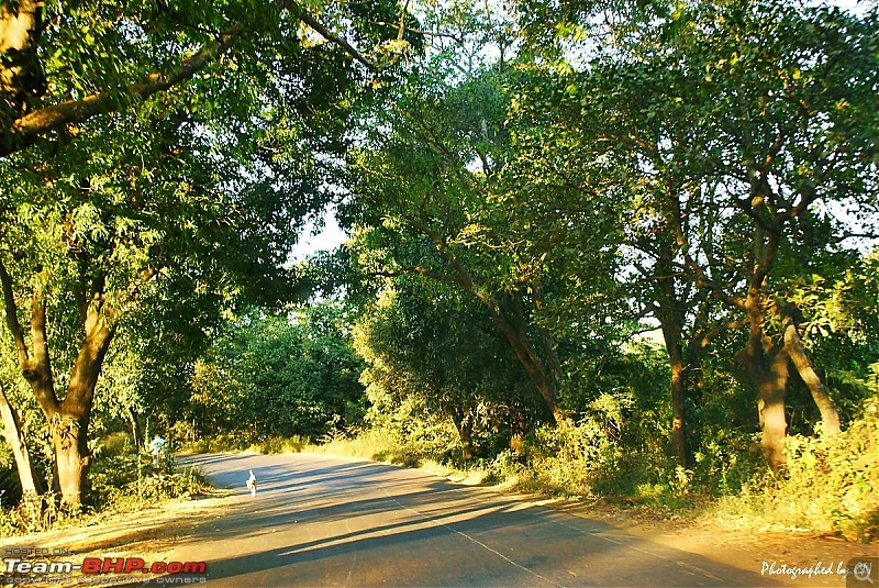 An incredible road trip to the Pearl of the Orient  Goa-1-route_to_kolhapur.jpg