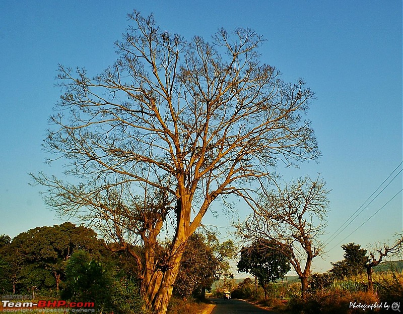 An incredible road trip to the Pearl of the Orient  Goa-10-route_to_kolhapur.jpg