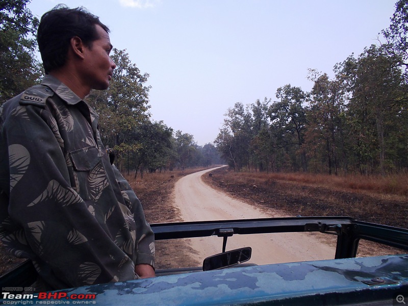 For how long we will be able to see Pench...?-07.jpg